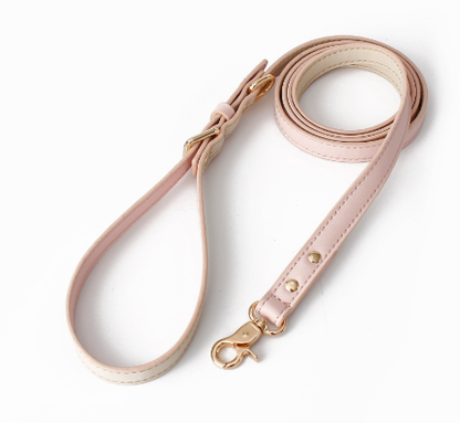 Leather Leash