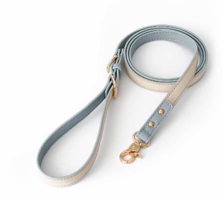 Leather Leash
