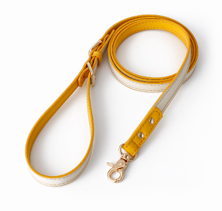 Leather Leash